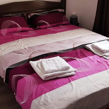 Apartament Confortabil In Târgu Jiu Buitenkant foto