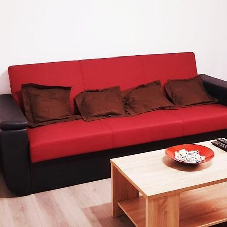 Apartament Confortabil In Târgu Jiu Buitenkant foto