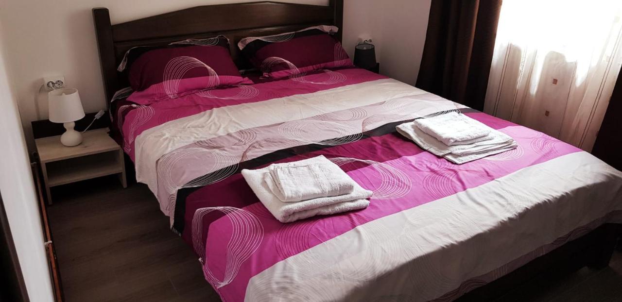 Apartament Confortabil In Târgu Jiu Buitenkant foto